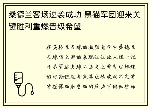 桑德兰客场逆袭成功 黑猫军团迎来关键胜利重燃晋级希望