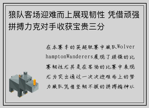 狼队客场迎难而上展现韧性 凭借顽强拼搏力克对手收获宝贵三分