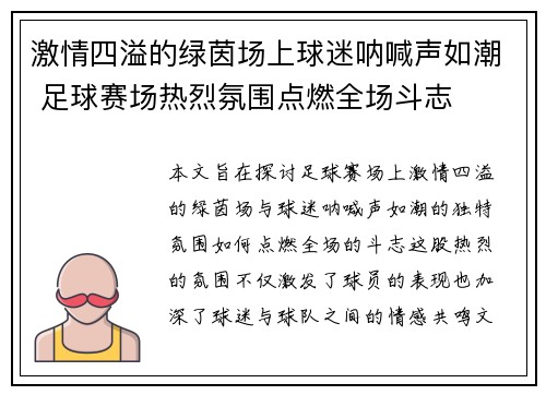 激情四溢的绿茵场上球迷呐喊声如潮 足球赛场热烈氛围点燃全场斗志